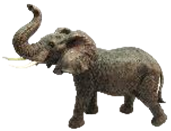 Elephant Product