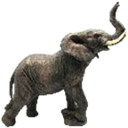 Elephant Product