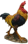 Chicken Product