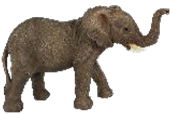 Elephant Product