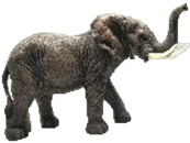 Elephant Product