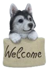 Dog Product