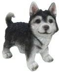Dog Product