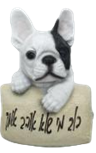 Dog Product
