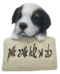 Dog Product