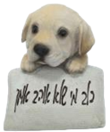 Dog Product