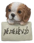 Dog Product