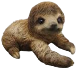 Sloth Product