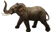 Elephant Product