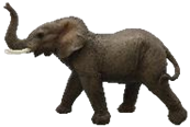 Elephant Product