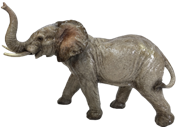 Elephant Product