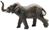 Elephant Product