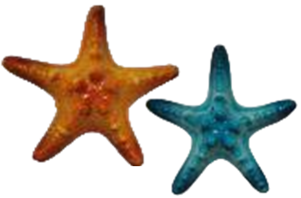 Starfish Product