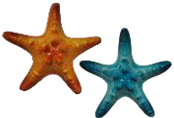 Starfish Product