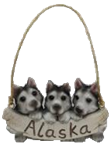 Dog Product