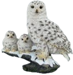Owl Product