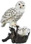 Owl Product