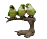 Bird Product