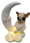 Dog Product