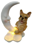 Dog Product