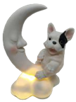 Dog Product
