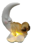 Dog Product