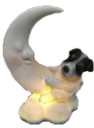 Dog Product