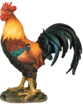 Chicken Product