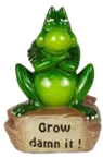 Frog Product