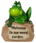 Frog Product