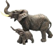 Elephant Product
