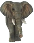 Elephant Product