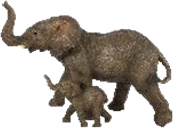 Elephant Product