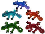 Lizard Product
