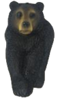 Black Bear Product