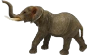 Elephant Product
