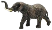 Elephant Product