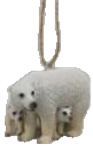 Polar Bear Product