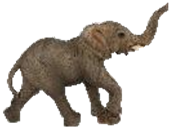 Elephant Product