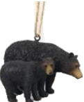 Black Bear Product