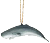 Whale Product