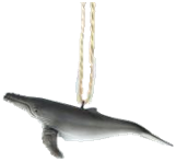 Whale Product