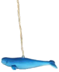 Whale Product