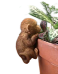 Monkey Product