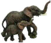 Elephant Product