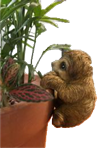 Sloth Product