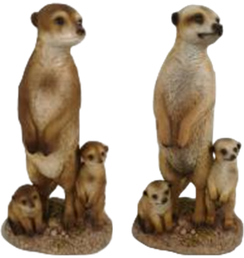 Meerkat Product