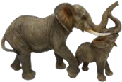 Elephant Product