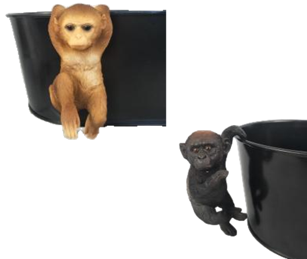 Monkey Product