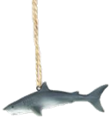 Shark Product